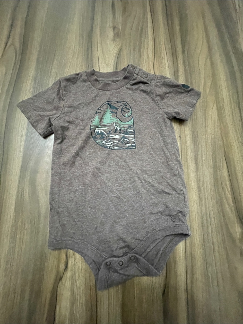 Carhartt One-Piece Bodysuit in Brown with Nature Graphic 24M
